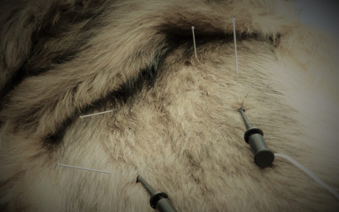 Chronic Pain Part II